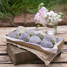 《毁灭战士》旧作Steam列表整合 部分作品价格永降